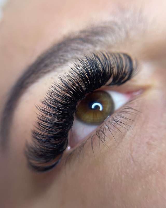 Volumen-Wimpernverlängerung mit dichten Wimpernfächern, Nahaufnahme eines braunen Auges